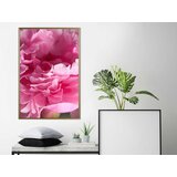  Poster - Magenta Madness 30x45 | shoptok.hr