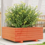  Vrtna sadilica voštano smeđe boje 60x60x26,5 cm od borovine | shoptok.hr
