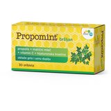 Esensa Propomint bršljan 30 oribleta Cene