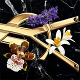 Yves Saint Laurent Libre Intense parfemska voda 30 ml za žene Cijene