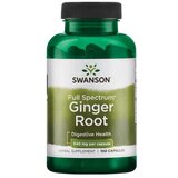 Swanson Ingver 540 mg (100 kapsul) | Shoptok.si