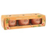 Yankee Candle Tropical Breeze poklon set | shoptok.hr