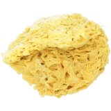 Koutouzis Natural Sea Sponges Prirodna spužva "Honeycomb" - L | shoptok.hr