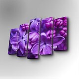 Wallity 5PUC-063 multicolor decorative canvas painting (5 pieces)