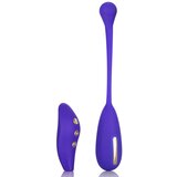 California Exotics Impulse Intimate E-Stimulator Remote Kegel Exerciser Cene