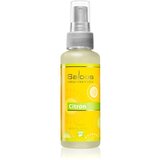 Saloos Air Fresheners Lemon pršilo za dom 50 ml Cene