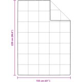 vidaXL Odeja Drugo z blazino 2 pcs Bela 155 x 220 cm Puh | Shoptok.si