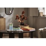 WoodWick Trilogy Verdant Woods dišeča sveča z lesenim stenjem 610 g | Shoptok.si