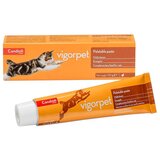 Candioli Pharma Candioli Vigorpet, dodatak ishrani za mačke 50g Cene
