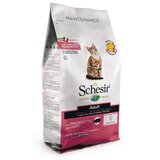 Schesir cat adult sunka 0.4kg hrana za mačke Cene