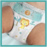 Pampers active baby JPM 4 Maxi pelene za bebe 62kom | ePonuda.com