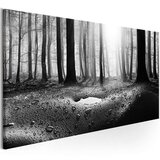  Slika - Forest after Rain (1 Part) Narrow 135x45 | shoptok.hr