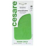 MR&MRS cesare green warm spicy mirisna kartica Cene