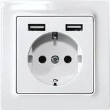 Vtičnica z ozemljitvenim kontaktom DSS55E+2xUSBA-wg, (20887996)