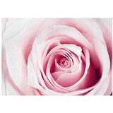  Tapeta - Rose maze 100x70 | shoptok.hr
