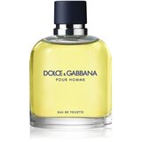 Dolce&gabbana Muški parfem Pour Homme Eau De Toilette 75 ml | Eponuda.com