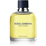 Dolce&gabbana pour homme toaletna voda 75 ml za moške Cene