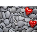  CT-5278 multicolor bathmat set (2 pieces) | Eponuda.com