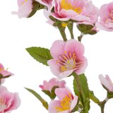 Mömax Veja S Češnjevimi Cvetovi Kirschblüte I -Paz- | Shoptok.si