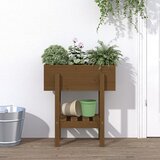 vidaXL Vrtno cvetlično korito medeno rjavo 62x30x69 cm trdna borovina Cene
