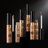 Max Factor facefinity korektor 10 | ePonuda.com