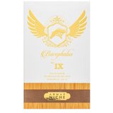 Armaf Bucephalus No. IX parfumirana voda za moške 100 ml | Shoptok.si