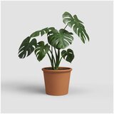 Artevasi Cvetlični lonec iz terakote ø 39 cm Saramago Cilindro – | Shoptok.si