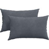 vidaXL Blazine za kavč 2 pcs Temno siva 50 x 30 cm Žametna tkanina | Shoptok.si