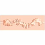 XKIN realistična umjetna vagina masturbator - L (prirodna) | shoptok.hr