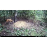 OXE Fotozamka Viper + 32GB SD kartica, 4 baterije i stativ GRATIS! | shoptok.hr