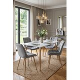  BERA stolica - svijetlosivi baršun / noge od hrasta x 1 | shoptok.hr
