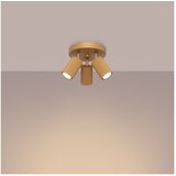 Nice Lamps Stropna svetilka v zlati barvi Gleam – | Shoptok.si
