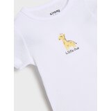Sinsay Bodi | shoptok.hr
