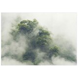  Samoljepljiva foto tapeta - Foggy Amazon 392x280 | shoptok.hr