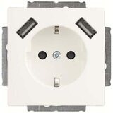 Busch-Jaeger SCHUKO-2x vtičnica USB 20 EUCB2USB-884, (21041243) | Shoptok.si
