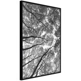  Poster - Lying on the Grass 40x60 | shoptok.hr