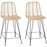  Barski stolac 2 pcs 44,5 x 54,5 x 97,5 cm Ratan i čelik | shoptok.hr