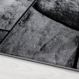 Ayyildiz Carpets Temno siva preproga 160x230 cm Parma – | Shoptok.si