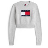 Tommy Jeans Pulover mornarska / svetlo siva / rdeča / bela Cene