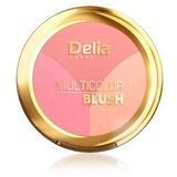Delia paleta rumenila sa više boja multicolor blusher Cene'.'