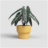 Artevasi Keramička ručno rađena tegla za cvijeće ø 17 cm Echo – | shoptok.hr