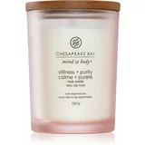 Chesapeake Bay Candle Mind & Body Stillness & Purity mirisna svijeća 250 g