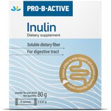 PRO-B-ACTIVE Inulin, 12 kesica | Eponuda.com