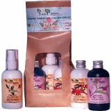 Biopark Cosmetics oily skin care combination set