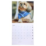 Biro time yearly 30 zidni kalendar 30x30cm 14 lista pas ( 490043 ) Cene