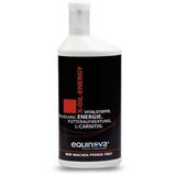 equinova X‐Oil‐Energy Cene