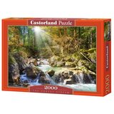Castorland puzzle od 2000 delova Sunny Forest Stream C-200382-2 Cene
