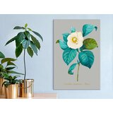  Slika za samostalno slikanje - Beautiful Camellia 40x60 | shoptok.hr