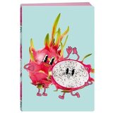 Play premium sveska fruit - odaberite motiv dragon fruit a4 latajn ( B2C01992 ) Cene