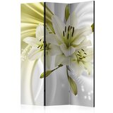  Paravan u 3 dijela - Green Captivation [Room Dividers] 135x172 | shoptok.hr